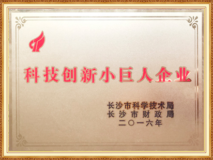 科技小巨人-csgo电竞比分网智能