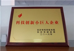 【喜报】csgo电竞比分网智能荣获长沙市首批“科技创新小巨人企业”奖